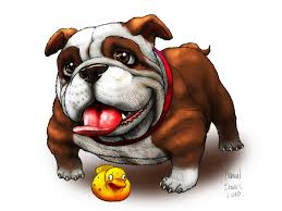 Bull Dog1
