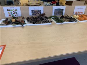 display 3 
