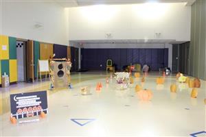 gym area  