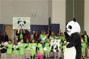 panda pic 