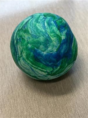 School 04 participates in earth day1