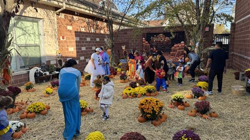 Pumpkin patch